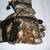 New, Advantage Camo Shooting/Hunting Gloves 5 thumbnail