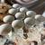 Fine China Florentine design 4 thumbnail