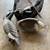 Goose Decoys (Mixed Bag) 4 thumbnail