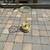 1972 Extra large brass & glass Chapman candle holder A6 1 thumbnail