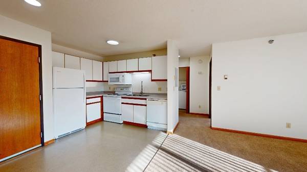 $975 / 1br - 590ft2 - Spacious Floorplans, Microwave, Views (Saint Cloud , Minnesota)63988652755202123