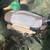 Duck decoys Mallards 1 thumbnail