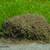 PEST CONTROL SERVICES $59 + tax special, NO CONTRACTS 2 thumbnail