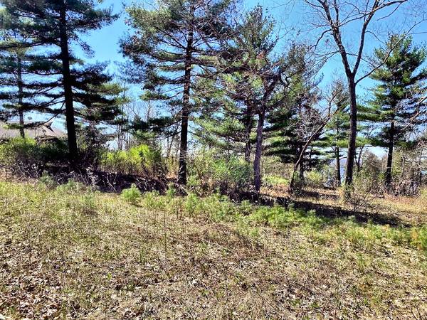 $39,000 Vacant Duplex Lot in Waterfront Condo Community (Wisconsin Dells)63868702956035122