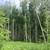 6.7 acre lot in the hills 4 thumbnail