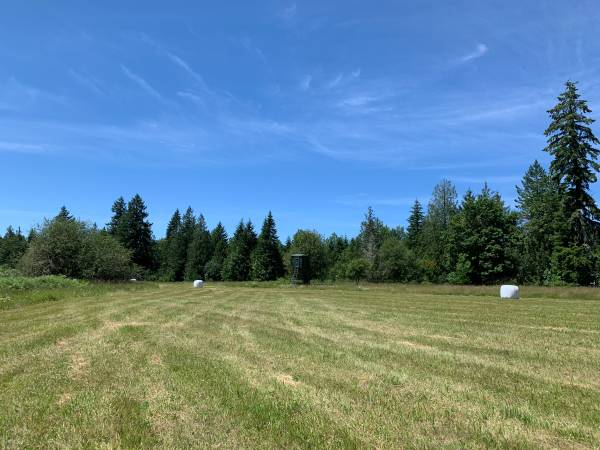 $160,000 2.25 Acres: Semi-prepped for Build! (One of Two 2.25-acre lots) (Toutle, WA)64150331911041124