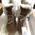 Wind River Ladies Winter Boots. Size 8. Fur Lined & Genuine Suede 4 thumbnail