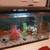 10 gallon fish tank 1 thumbnail