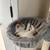 Rehoming kittens 3 thumbnail