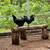 Ayem Cemani Rooster 1 thumbnail