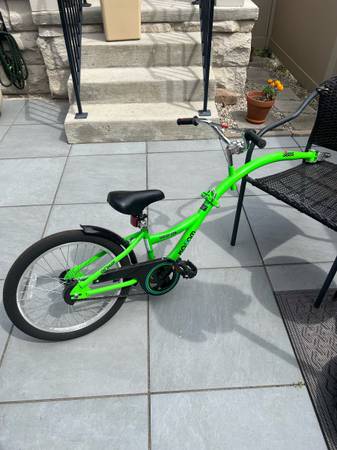 Bike trailer for small kids. 1