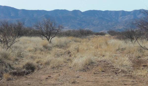 $3,000 1.08 off-grid acres of land in Pearce Arizona with mountain views! (E. Bryant St. Pearce AZ)63664778300289124