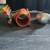 Hamster, Guinea Pig, Rabbit, small rodent items 1 thumbnail