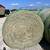 Hay Horse quality, Round Bale and Square Bales 1 thumbnail