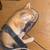 Mousers 4 thumbnail