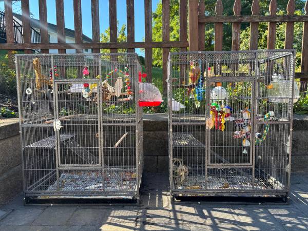 Jaula para pájaros extra ancha (walpole)63952290970755122