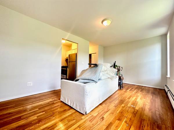 $2,795 / 1br - Amplio departamento de 1 habitación al otro lado de la calle de Prospect Park. A pasos del tren Q (Prospect Park South/ProspectPark)63661255811843120