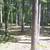 RV PARK ON ONE ACRE WITH FULL LEGAL HOOKUPS 14 thumbnail
