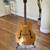 Vintage & Modern Guitars Collection 1 thumbnail
