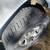 2005 Dodge Dakota Extended Cab Pickup 16 thumbnail