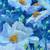STUDIO PAINTINGS  original paintings by leslie golden 2 thumbnail