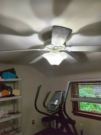 Paddle Fan 1