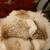 Russian ushanka hat 3 thumbnail