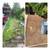 Yard Cleanup/Roof Moss Removal/Pressure Washing/Fencing/Landscaping 5 thumbnail
