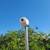 IT, NETWORK, LOW VOLTAGE, SECURITY CAMERAS, ACCESS CONTROL, ALARM 11 thumbnail