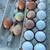 Farm fresh eggs 2 thumbnail