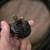 Road Power R/V 30 amp 30 foot long utility power cord 3 thumbnail
