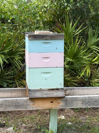 Beekeeping Setup with Producing Hives 1