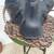 Vintage Regent Saddle with Stirrups English Think. 9 thumbnail