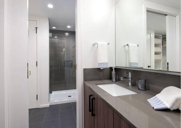$2,982 / 474ft2 - Downtown views, Premium bathroom fixtures, California Closets (345 Harrison Ave.)63996691533187123