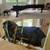 OC🚚🎼🎹 Luna's Piano Movers 🎹 Piano Moving (844) 586-2726 10 thumbnail
