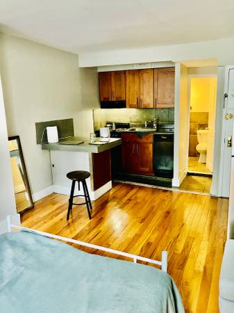 $2,500 Studio | East Village. Lease Takeover Nov-Mar. Option to renew. (East Village)63850121600897123