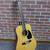 Fernandes Palisade D30 12-String Guitar 2 thumbnail