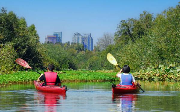 First Floor! Courtyard Access! Pet Friendly! Available 7 days a week! 1