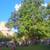 NO FEE West Vil Sprawling Corner 1brs, full luxe, doorman, VIDEOS! 12 thumbnail