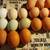 Hatching eggs 14 thumbnail
