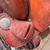 Horse Saddle 5 thumbnail
