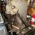 Unreserved Real Estate & Contents Auction 12 thumbnail