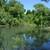House on the Russian River - Forestville...rental to May 2026 3 thumbnail