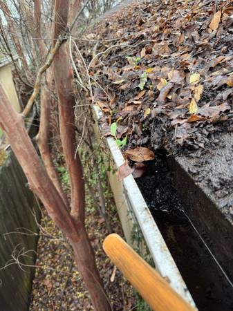 Local leaf gutter cleaning 1