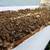 Trade Beehive With Bees for Laptop 3 thumbnail
