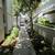 1 Bedroom 1 Bathroom Commun!$800 off 1st month rent 21 thumbnail
