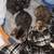 Kittens for rehoming 3 thumbnail