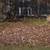 🌟✅Wheaton College Christian Landscaping - Free ASAP - $20 Discount🌟✅ 8 thumbnail