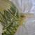 Tommy Bahama Ceramic Pitcher Fern Pattern Retired UNUSED 2 thumbnail