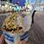 OC Family/Group Vacation Beach House Rentals!!! 9 thumbnail